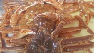 ズワイ🦀・鮎・池の地たこ🐙・イサキ入荷！